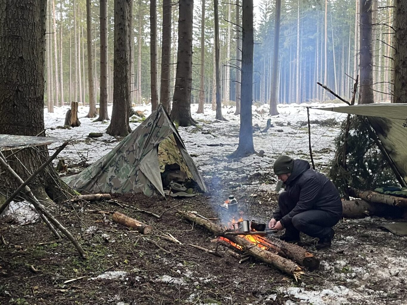 survival II